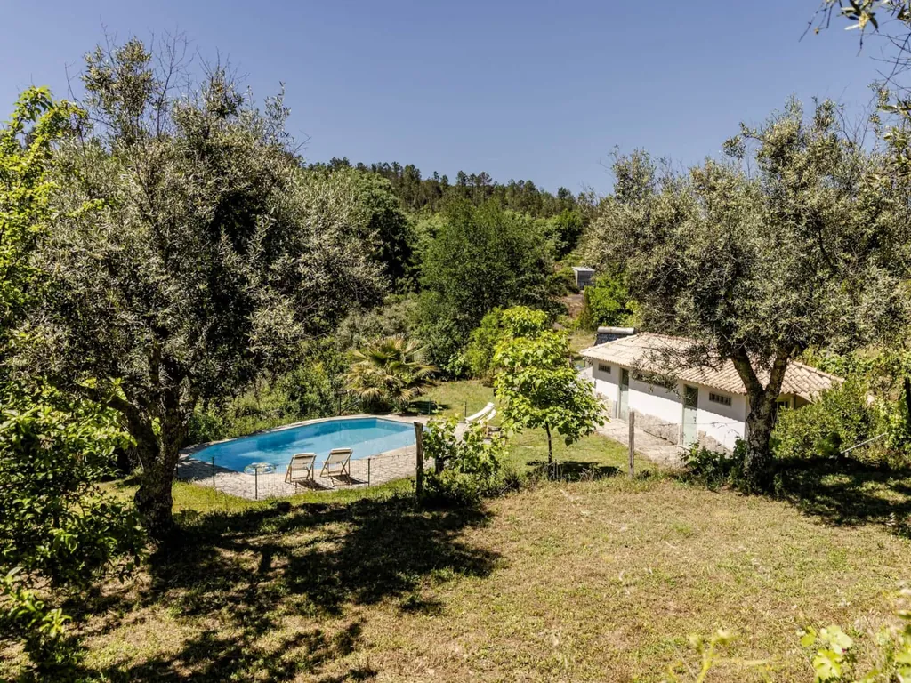 Piscina con vistas a la montaña entre olivos del Camping Vale Sereno, Penalva do Castelo (Viseu)