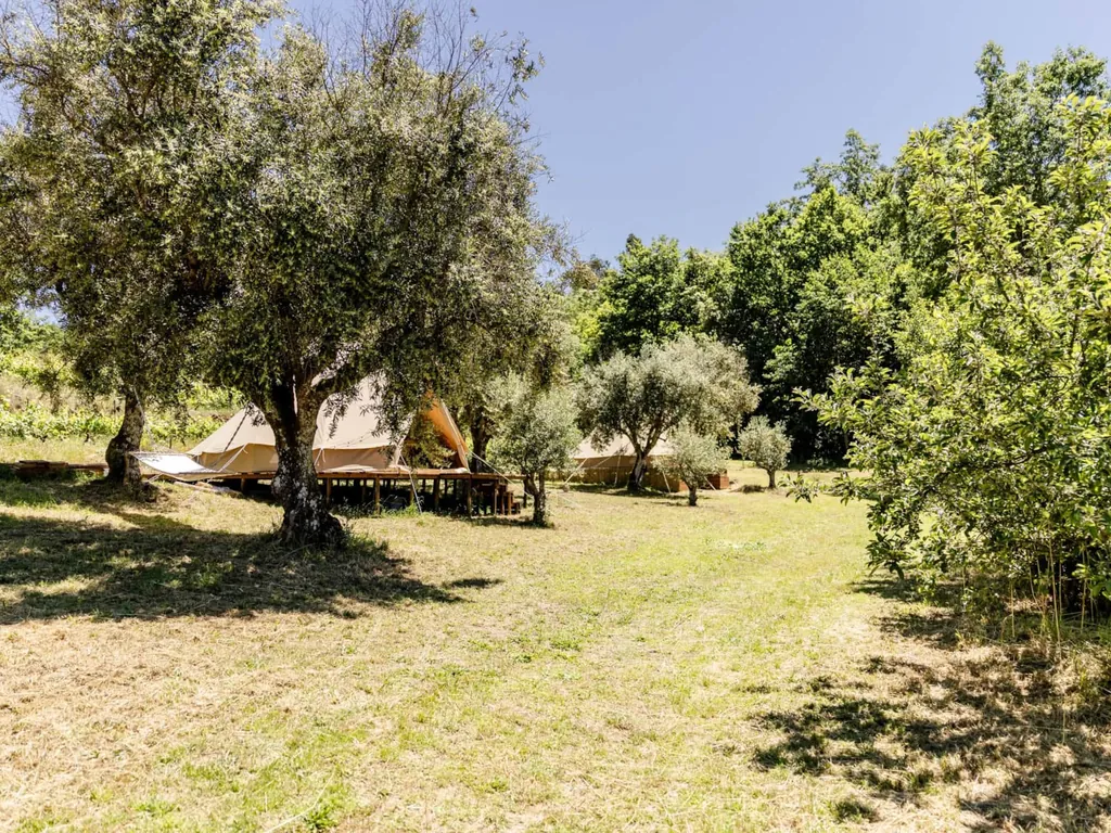 Glamping con tiendas de lona entre árboles del Camping Vale Sereno, Penalva do Castelo (Viseu)