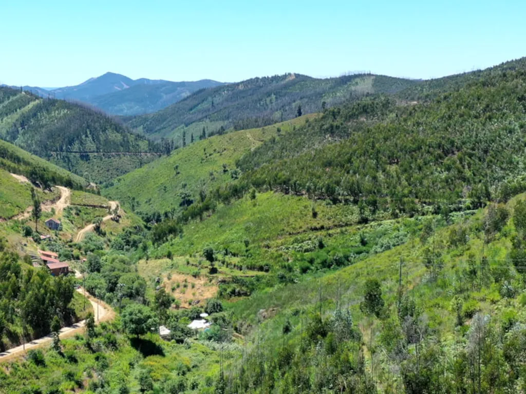 Montaña con parcelas entre bosque y prados del Camping Agro-turismo Quinta da Fonte, Fontainha (Leiria)