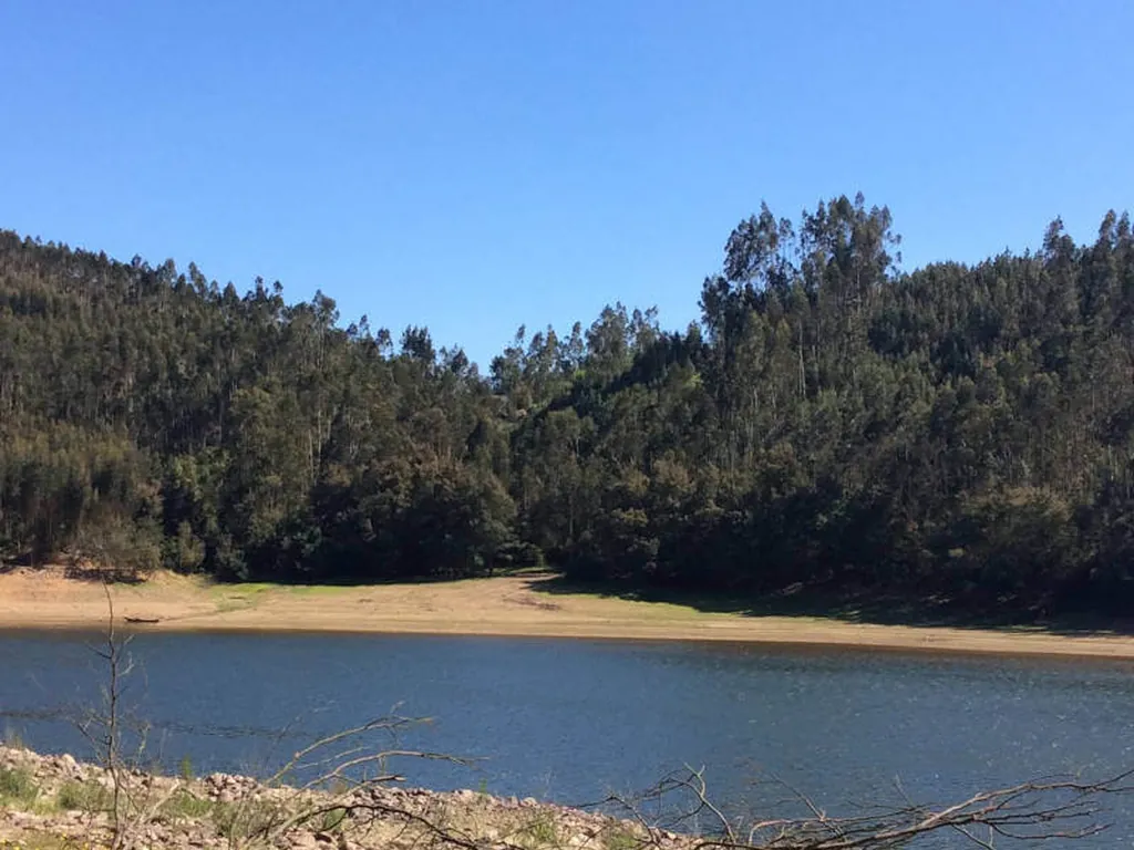 Lago rodeado de bosque y montaña del Camping Agro-turismo Quinta da Fonte, Fontainha (Leiria)