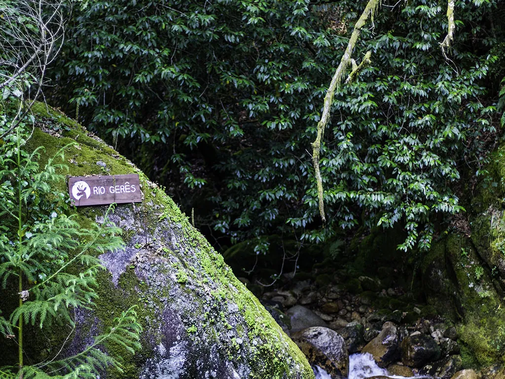 Río con cartel de sendero en entorno de bosque y vegetación del Camping Parque de Campismo do Vidoeiro (Gerês Vidoeiro Camping), Terras de Bouro (Braga)
