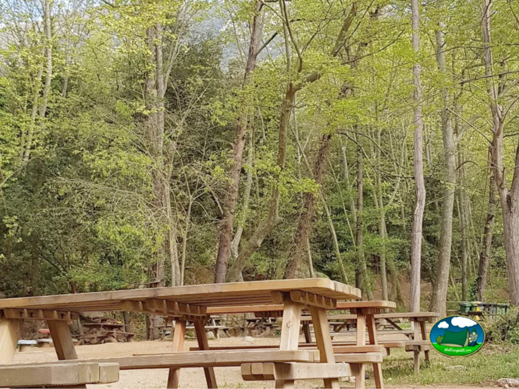 Parcela con zona de picnic rodeada de bosque del Camping Parc Mediambiental de Gualba, Gualba (Barcelona)