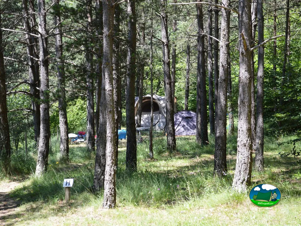 Parcela en bosque con tienda de acampada del Camping Mas la Bauma, Vallfogona de Ripollès (Girona)