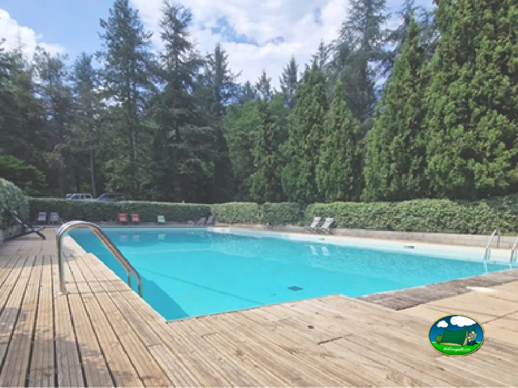 Piscina con vistas a la montaña y bosque de coníferas del Camping Cabanes als Arbres, Sant Hilari Sacalm (Girona)