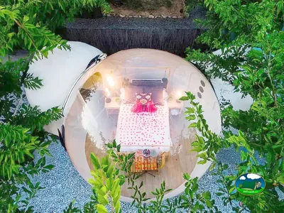 Glamping burbuja con vistas a parcela arbolada del Camping Nomading Camp Alicante, Villena (Alicante)