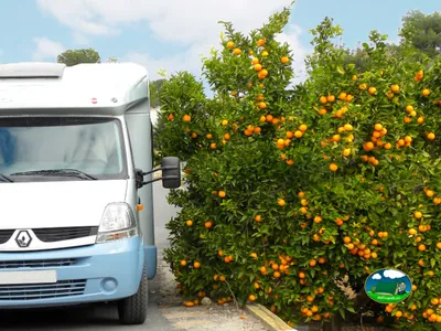 Parcela con mobil-home junto a naranjos del Camping Orange Grove, L'Alfàs del Pi (Alicante)