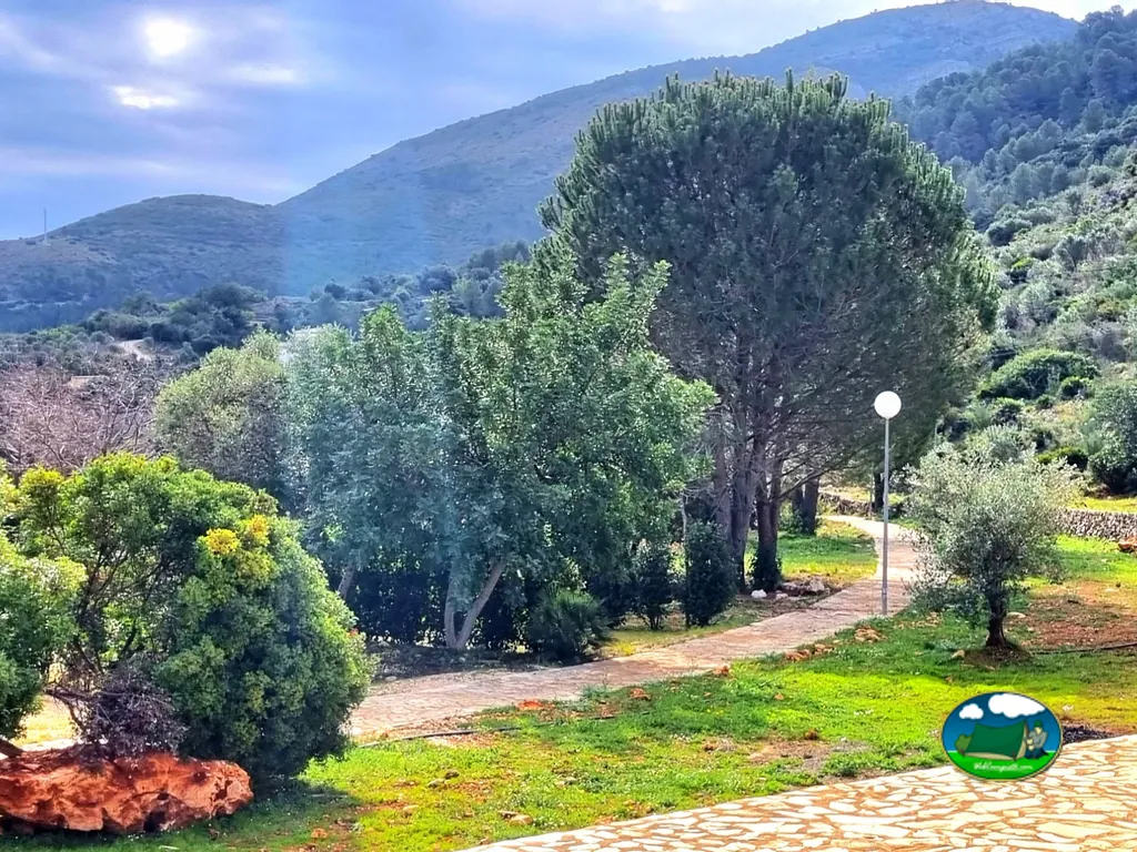 Parcela con vistas a la montaña y árboles maduros del Camping Benigembla, Benigembla (Alicante)