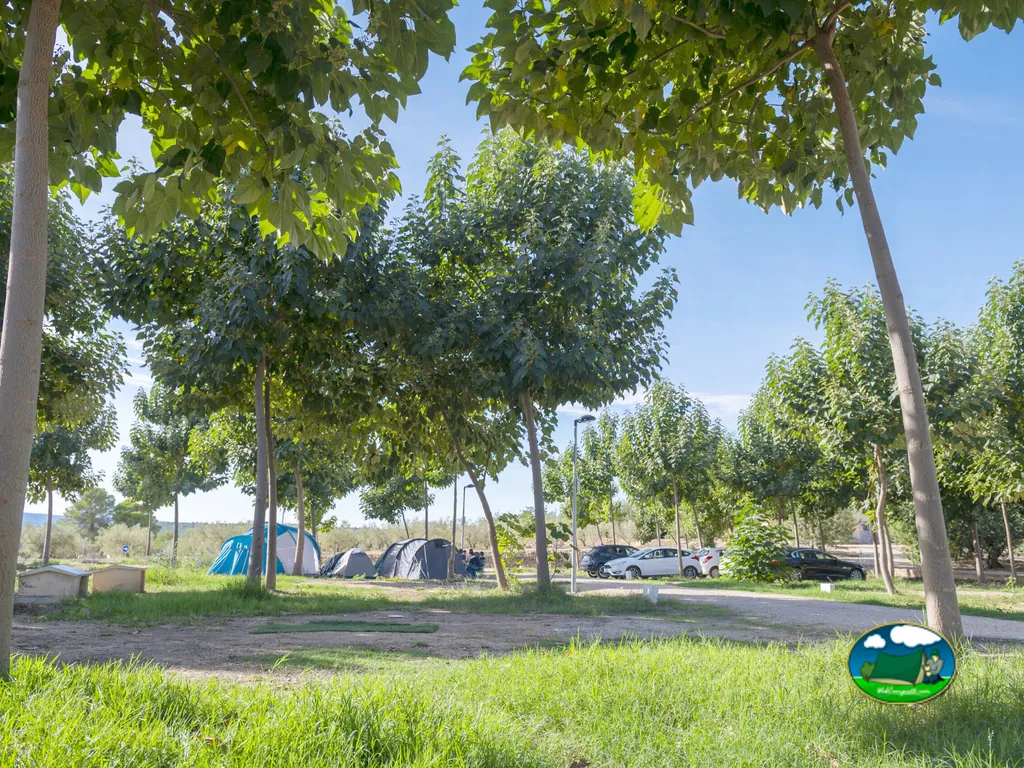 Parcelas con sombra entre árboles del Camping Playamonte, Navarrés (Valencia)