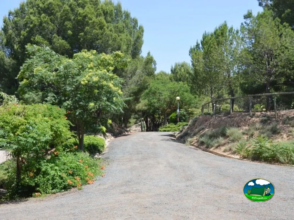 Parcela entre árboles con acceso del Camping Nature, Cascante (Navarra)