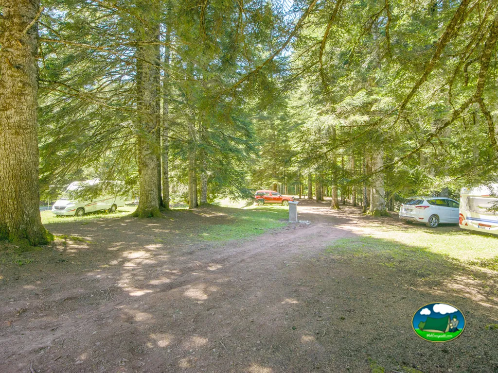 Parcela bajo árboles con vehículos del Camping Selva de Oza, Hecho (Huesca)