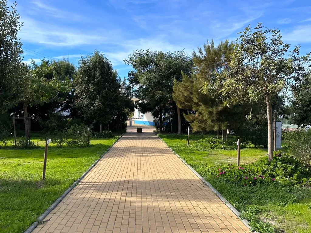 Parcela arbolada con camino pavimentado del Camping Costa do Vizir Beach Village, Porto Covo (Setúbal)