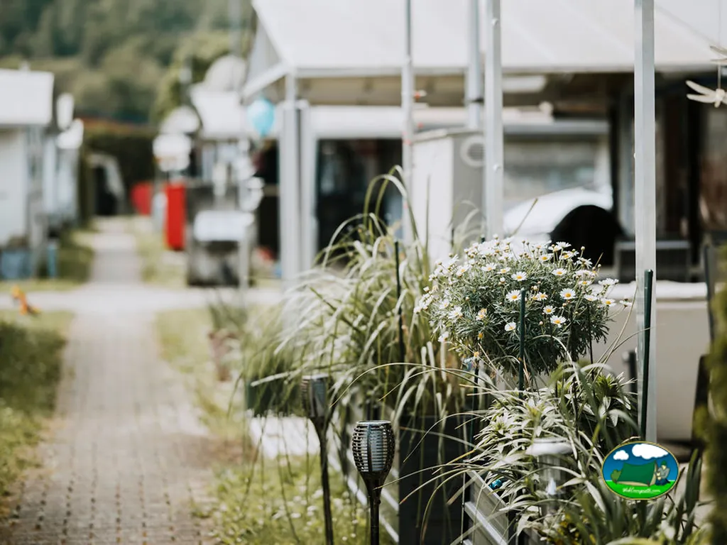 Parcela con mobil-home y vegetación del Camping & Caravanclub Bad Zurzach (Oberfeld), Bad Zurzach (Argovia)