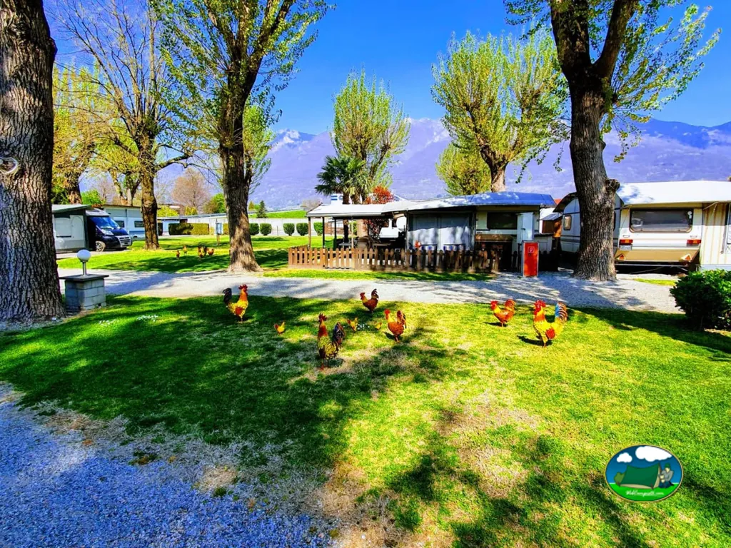 foto del Camping Alex