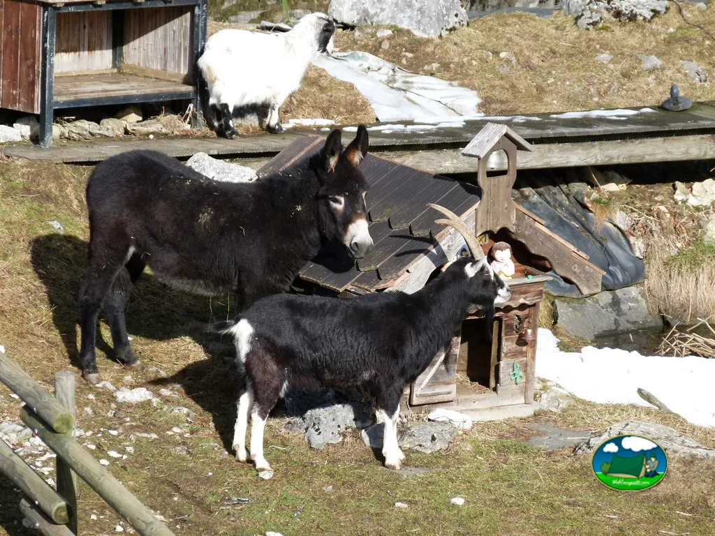 foto del Camping La Cibourg