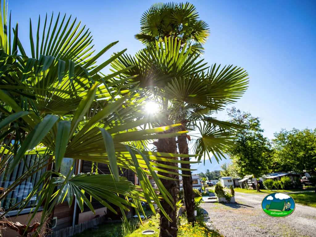 foto del Camping Riarena