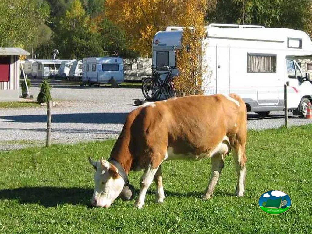 foto del Camping Vermeille