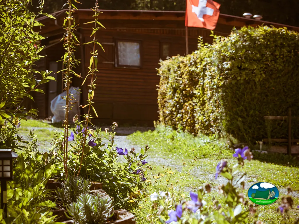 foto del Camping du Grand Paradis