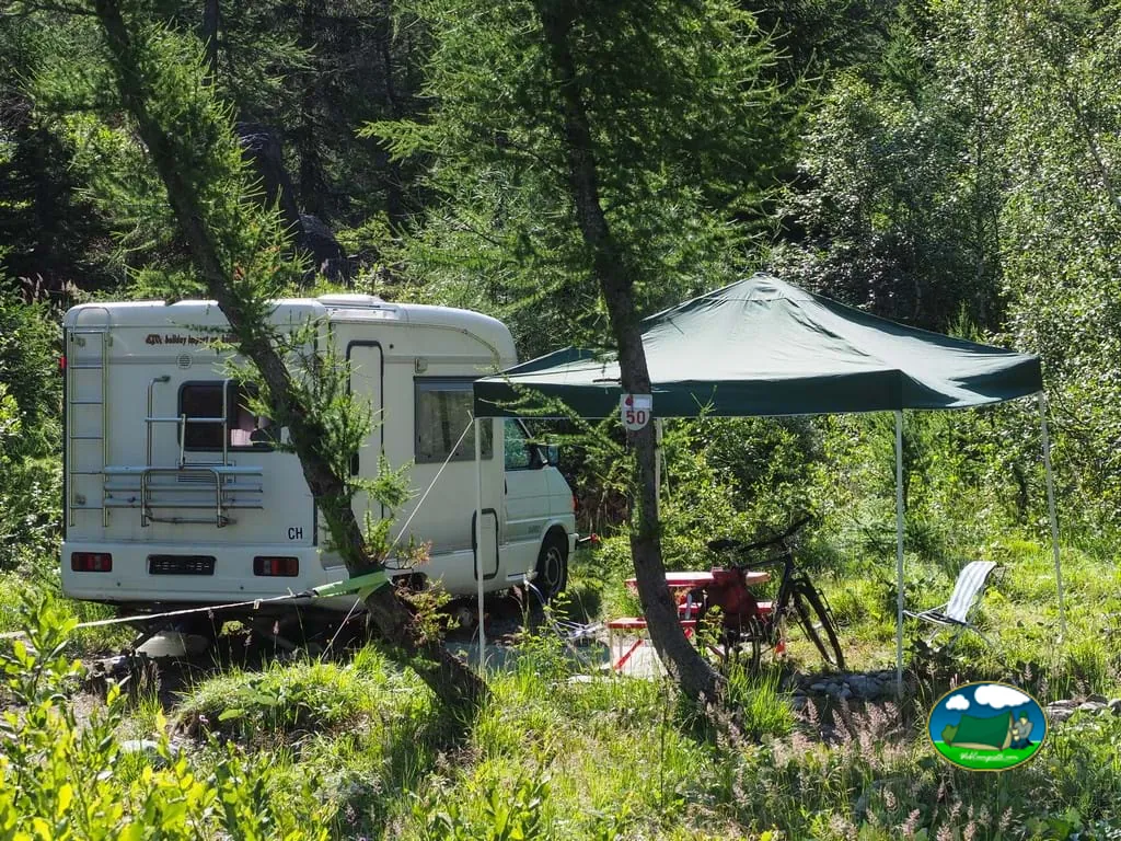 foto del Forêt des Mélèzes