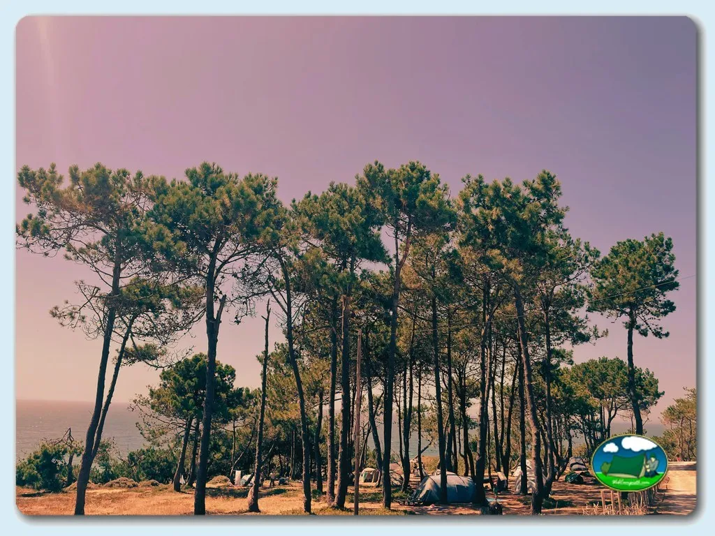 Camping São Torpes en Sines
