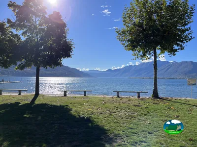 Junto al lago con vistas a la montaña y árboles de sombra del Camping Lago Maggiore, Tenero (Tesino)
