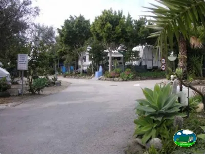 Parcela con mobil-home y vegetación tropical del Camping Parque Tropical, Estepona (Málaga)
