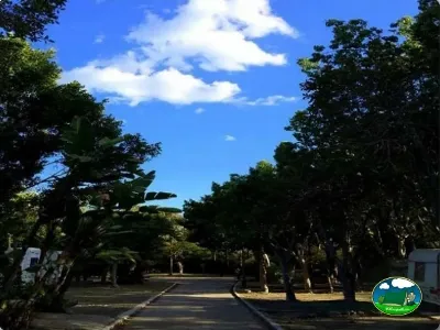 Entrada del recinto con arbolado y cielo despejado del Camping Parque Tropical, Estepona (Málaga)