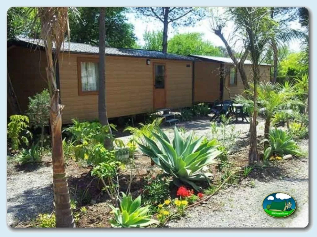 Foto de Camping Parque Tropical, Málaga, Andalucía, España - imagen 11