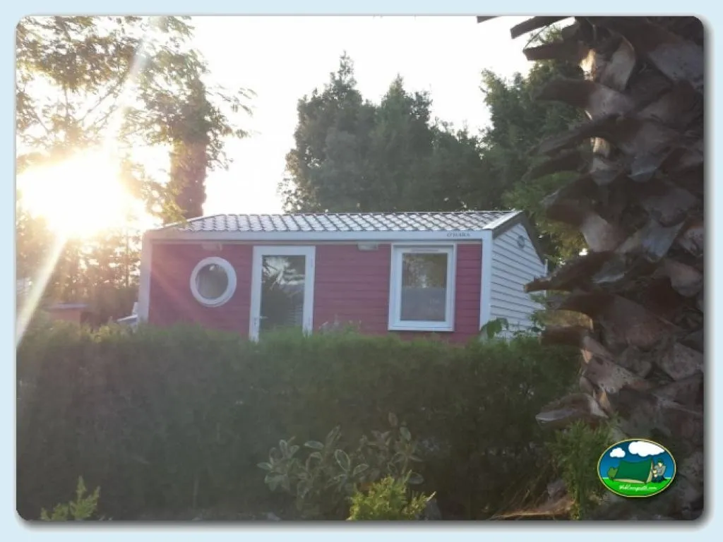 Foto de Camping Parque Tropical, Málaga, Andalucía, España - imagen 22