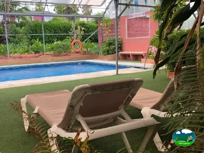 Piscina con tumbonas y vegetación tropical del Camping Parque Tropical, Estepona (Málaga)