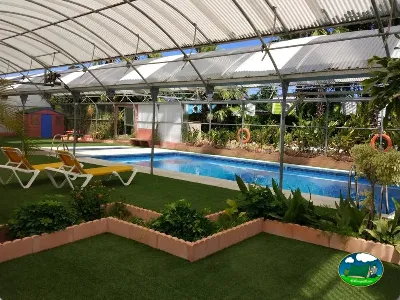 Piscina climatizada cubierta con hamacas y zona ajardinada del Camping Parque Tropical, Estepona (Málaga)