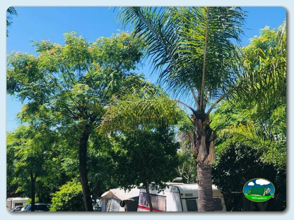 Foto de Camping Parque Tropical, Málaga, Andalucía, España - imagen 53