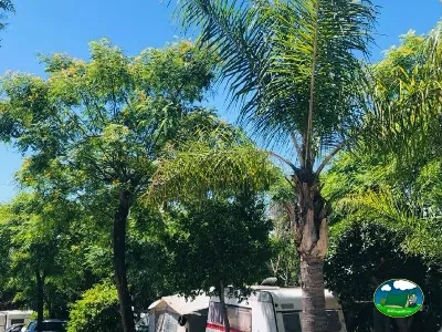 Parcela con mobil-home bajo árboles y palmeras del Camping Parque Tropical, Estepona (Málaga)