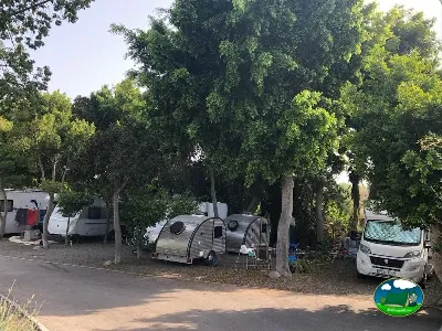 Parcela con caravana y mobil-home bajo árboles del Camping Parque Tropical, Estepona (Málaga)