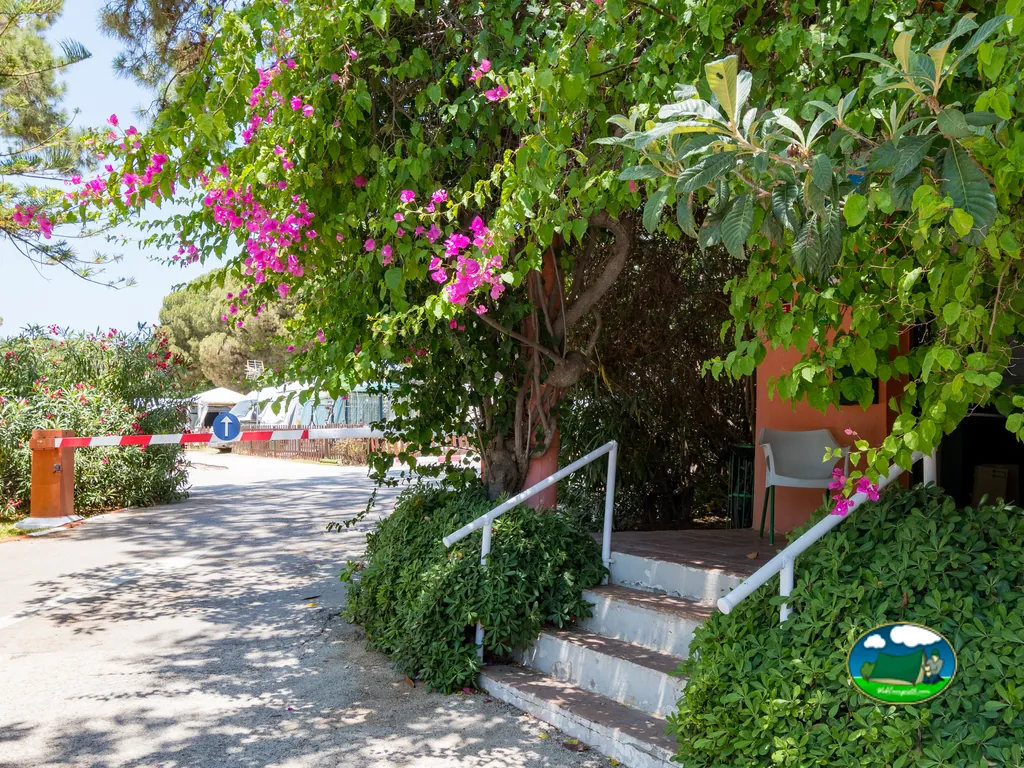 Entrada con flores magenta y vegetación exuberante del Camping La Buganvilla, Marbella (Málaga)