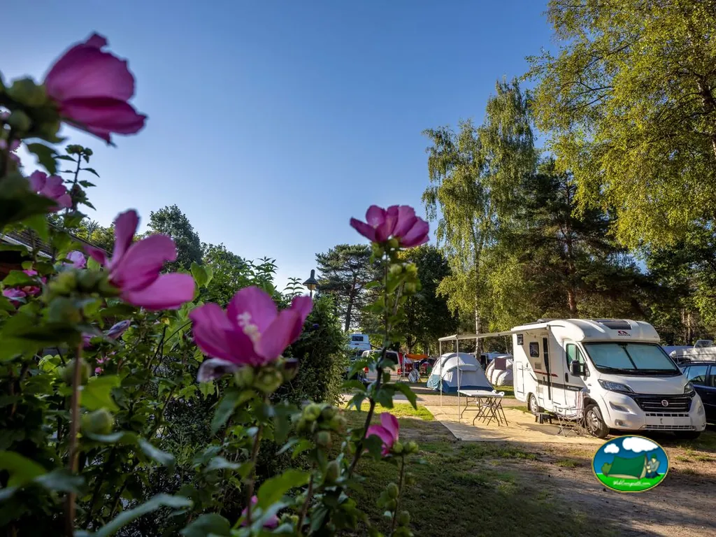 foto del TCS Camping Salavaux Plage