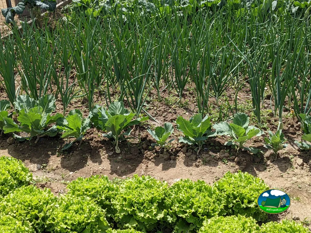 foto del Aux Vernes