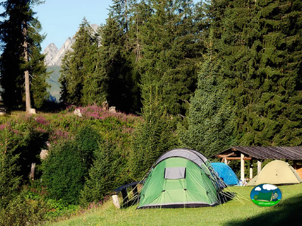 foto del Camping Jaunpass