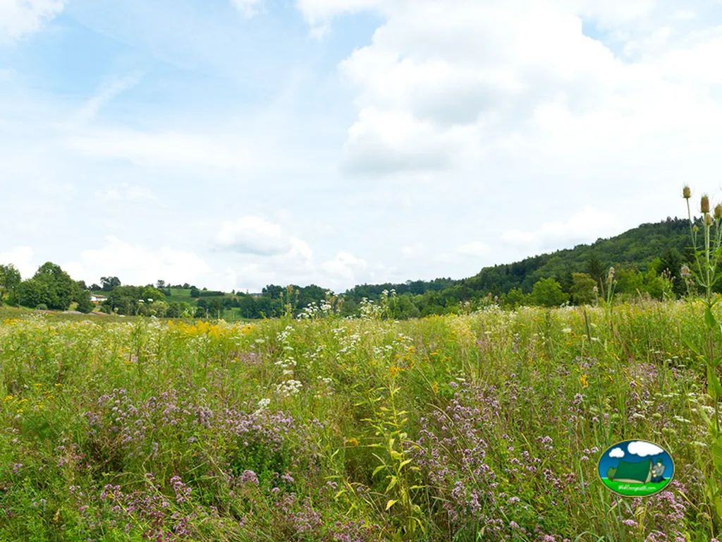 foto del Camping Leutswil
