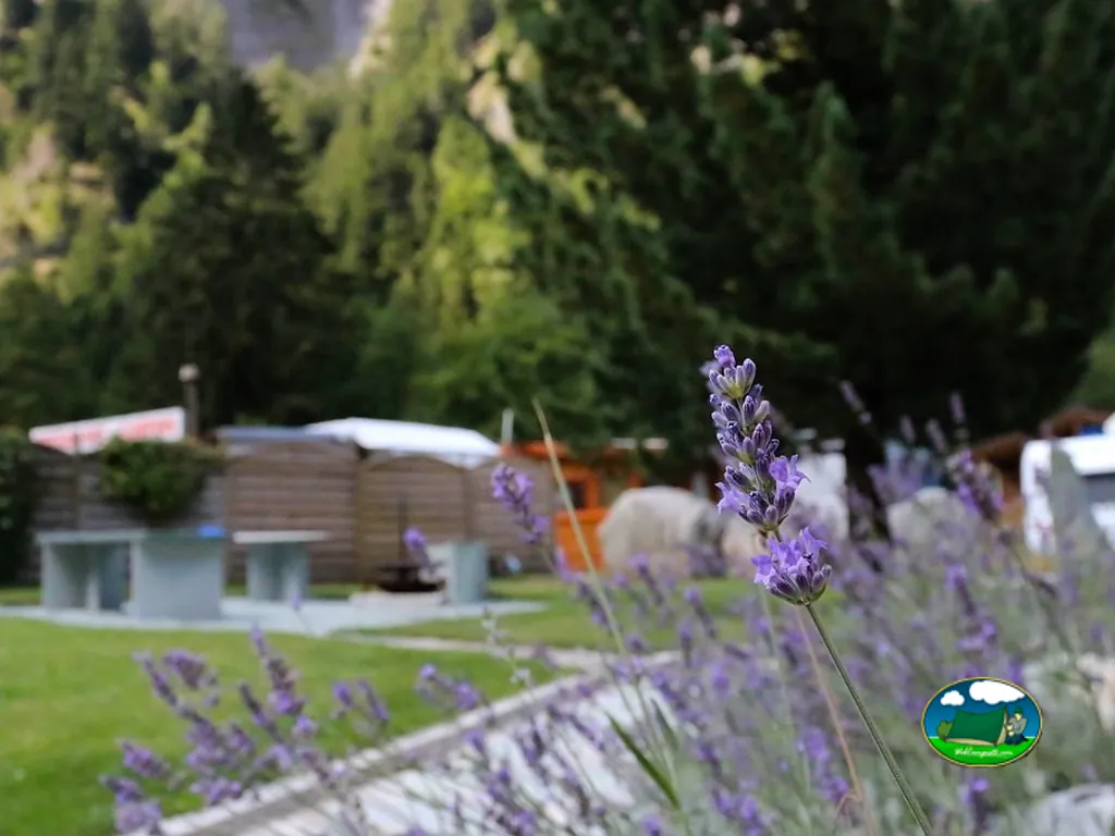 foto del Camping Rania