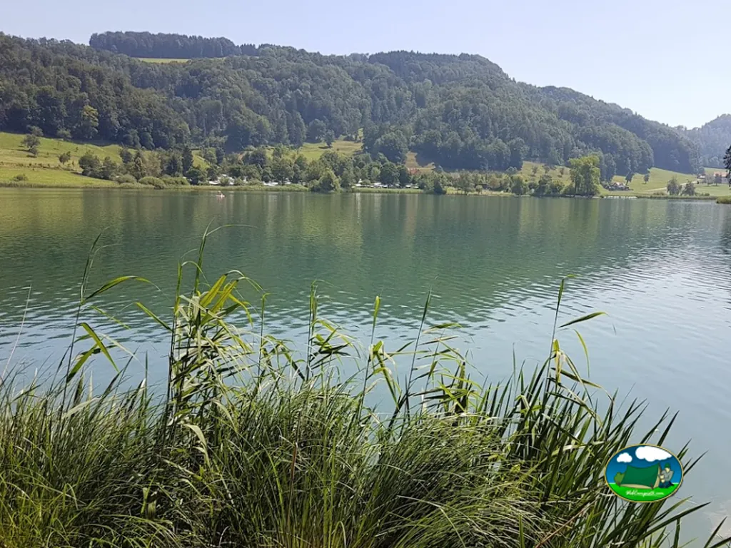 foto del Camping Türlersee