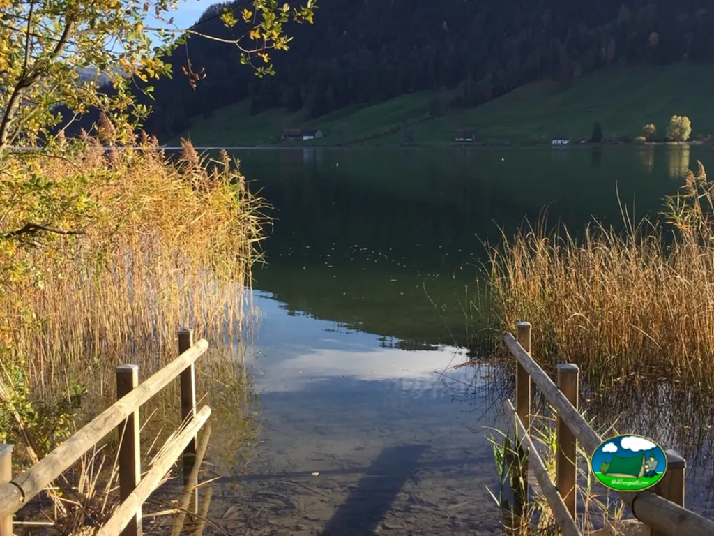 foto del Camping Unterägeri