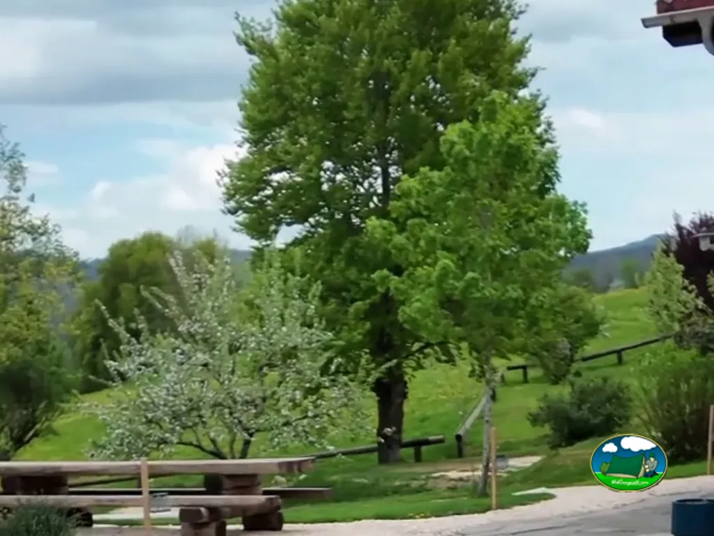 foto del Camping à la ferme La Coué