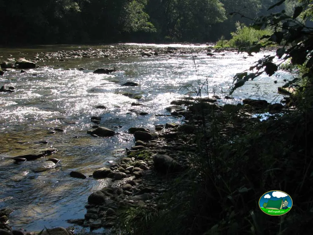 foto del St. Gallen-Wittenbach