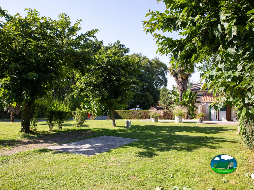 jardín con palmera y parcela
