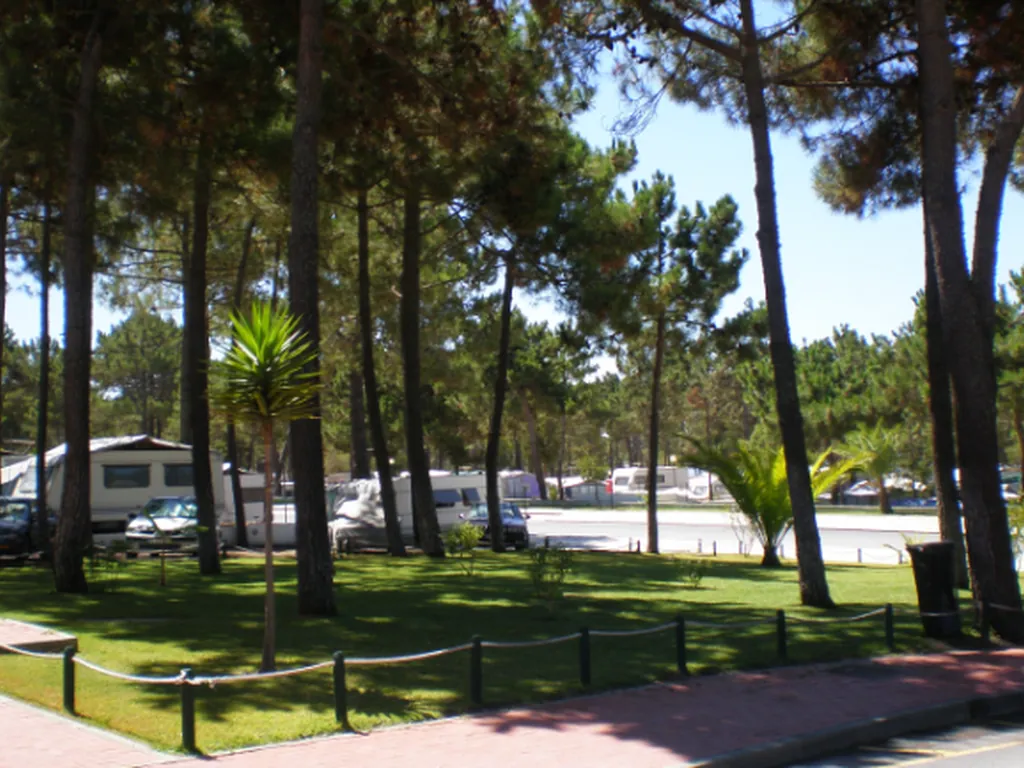 Parcela arbolada con mobil-home del Camping Lagoa de Santo Andre, Santo Andre (Setúbal)