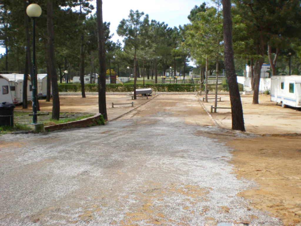 Parcelas con árboles altos del Camping Lagoa de Santo Andre, Santo Andre (Setúbal)