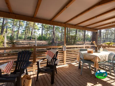 Terraza cubierta entre pinos de Camping Campéole Le Vivier, Biscarrosse