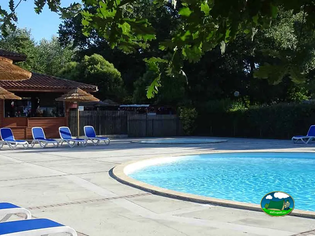 piscina junto a cabaña de madera