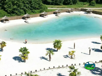 piscina laguna con palmeras