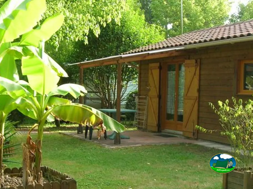 chalé de madera con jardín tropical